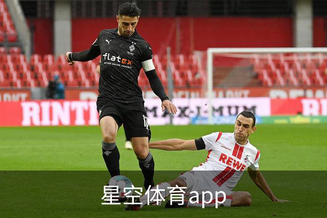 星空体育app 公司简介